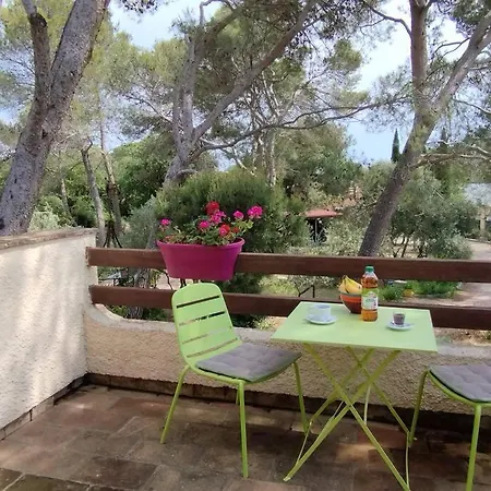 Provencale - Nîmes