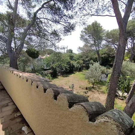 Provencale - *